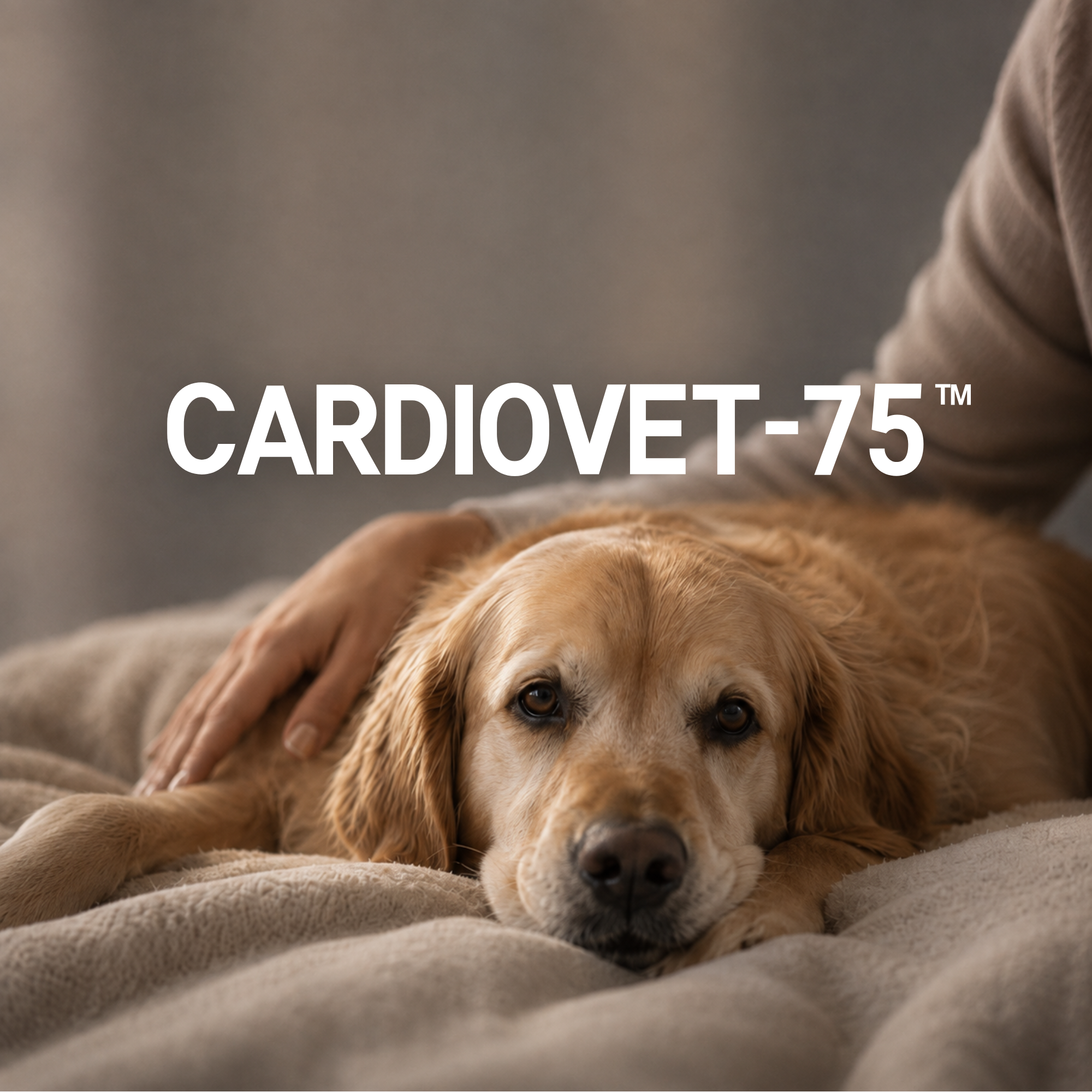 CardioVet-75
